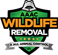 Glendale Wildlife Removal